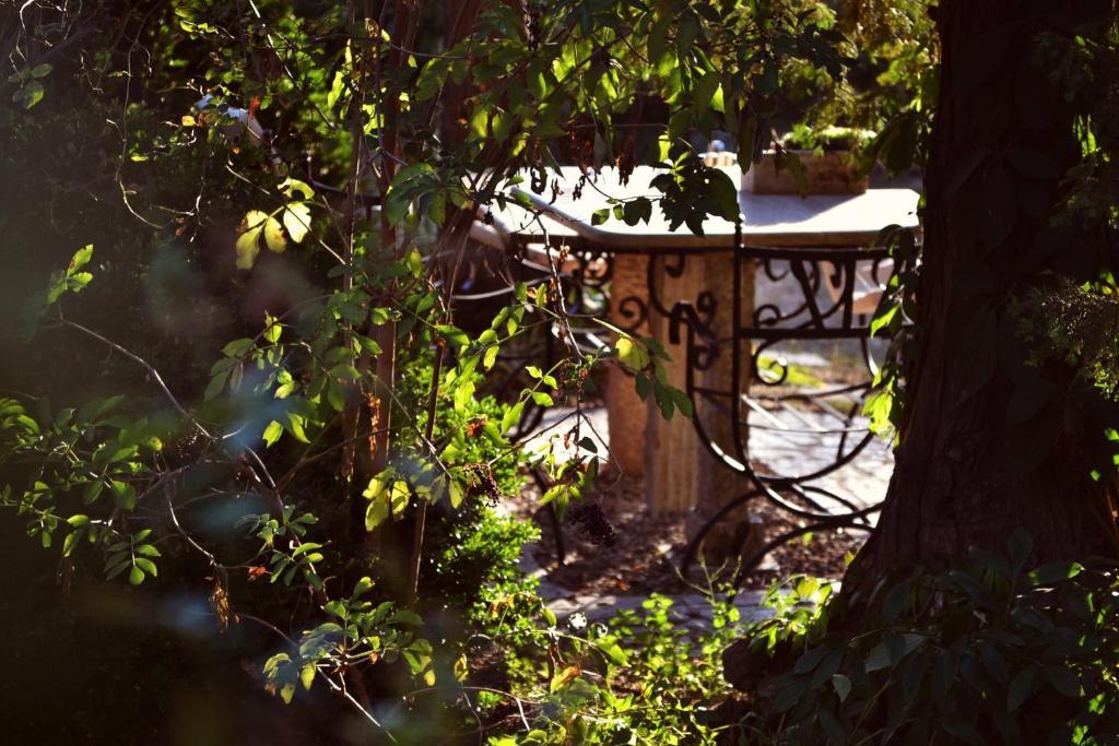 Villa Castelul Maria Banpotoc ภายนอก รูปภาพ